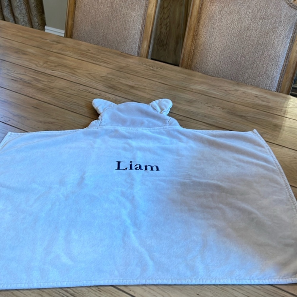 Bear Kid Hooded Towel Pottery Barn - Picture 6 of 11